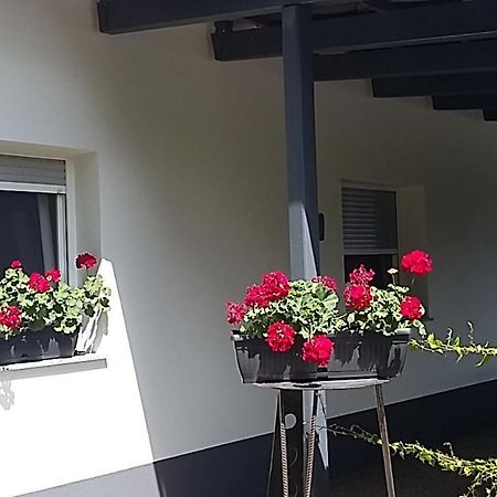 Apartma Mbm Apartment Krizevci pri Ljutomeru Exterior photo